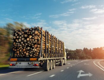 back view of long heavy industrial wood carrier cargo vessel truck trailer with big timber pine,