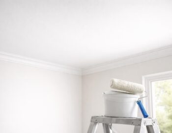 découvrez la meilleure peinture pour plafond alliant tenue, opacité optimale et excellente lessivabilité pour un rendu durable et facile à entretenir.